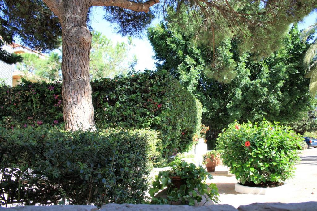 Quinta Da Ameijeira ラゴス エクステリア 写真