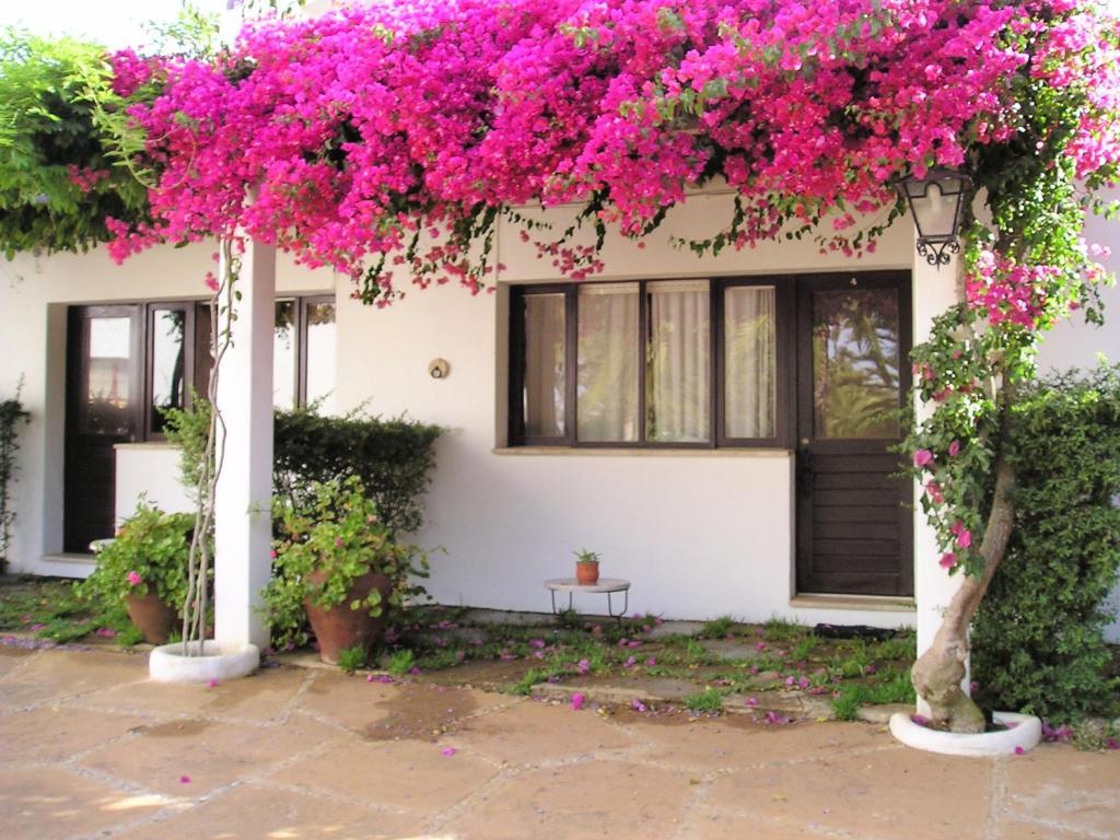 Quinta Da Ameijeira ラゴス 部屋 写真